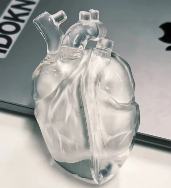 Coque  AirPods Cœur Antichoc – Image 4